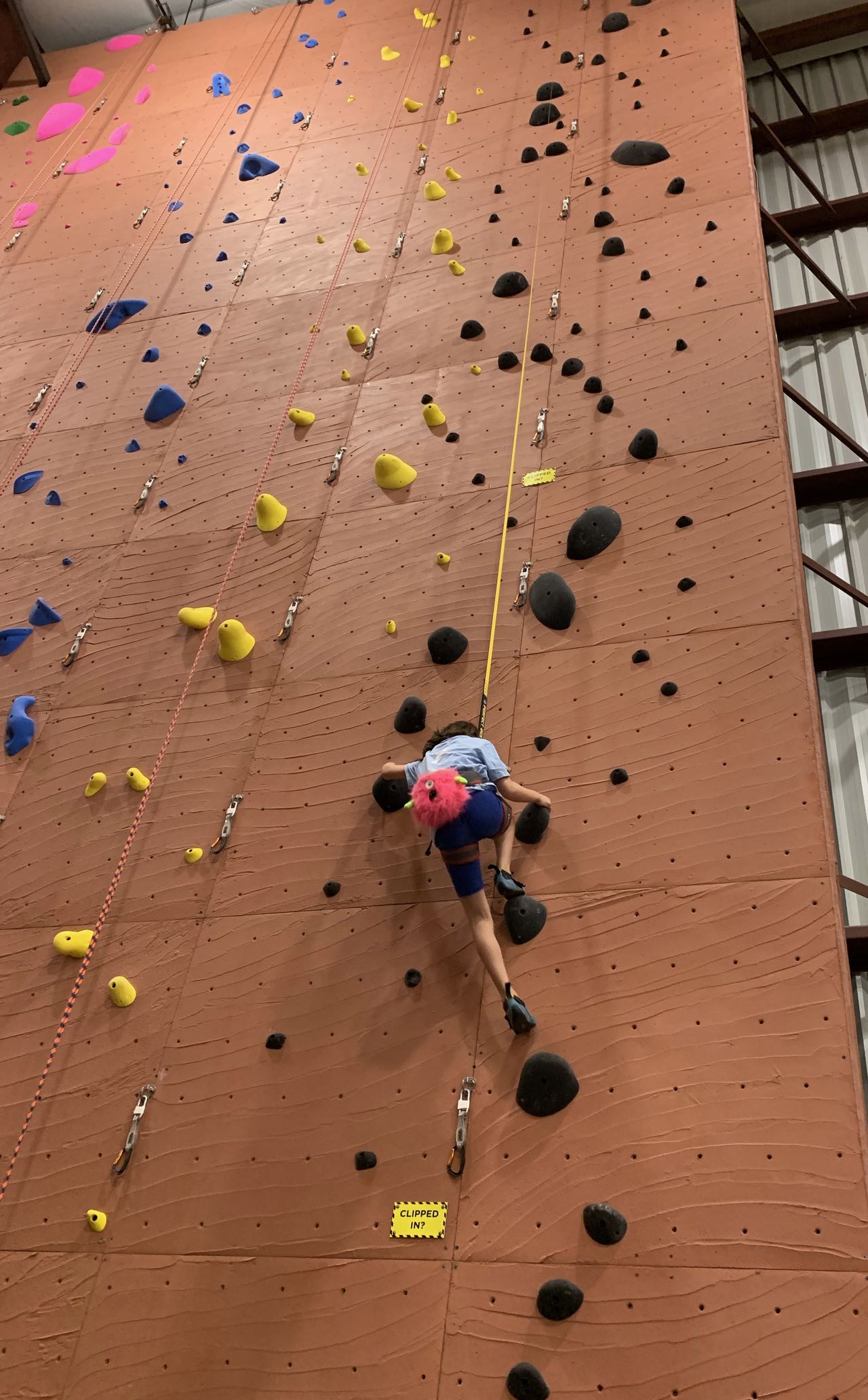 Madeline climbing.